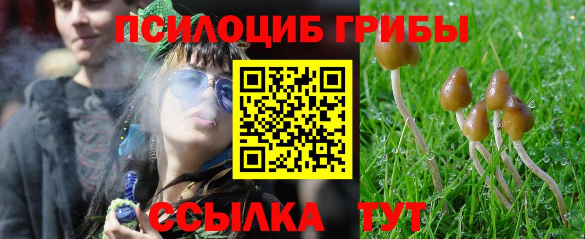 Галлюциногенные грибы Psilocybine cubensis Балабаново