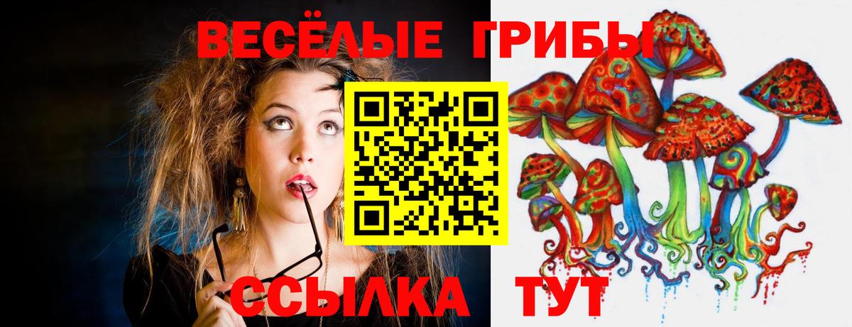 Балабаново  Псилоцибиновые грибы Psilocybine cubensis  Вход с VPN 
